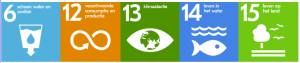 DE 17 SDG's